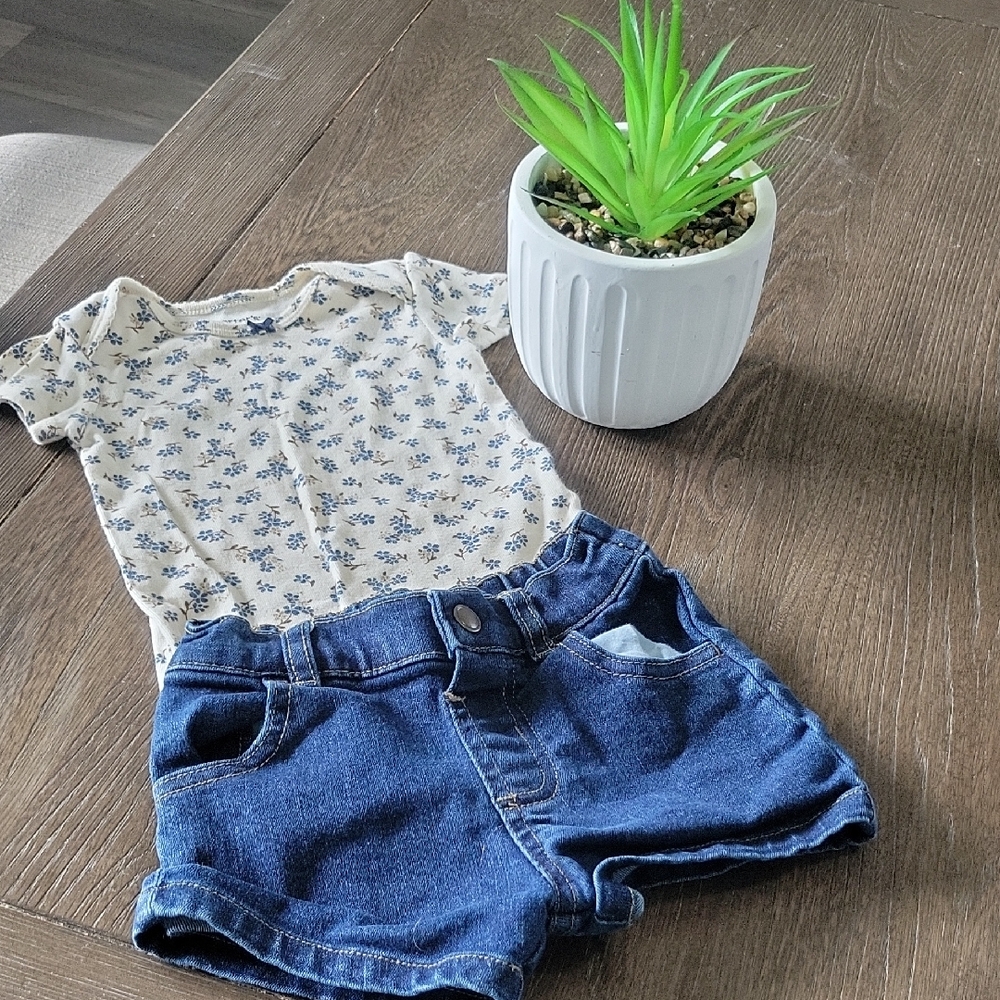 Carter's Blue Floral Top and Denim Shorts Set